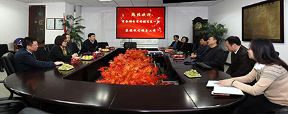 商务部电商司张佩东司长实地调研