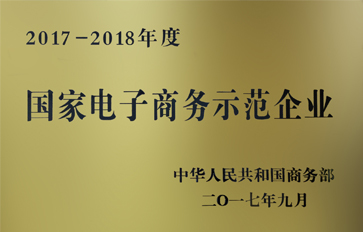 国家电子商务示范企业