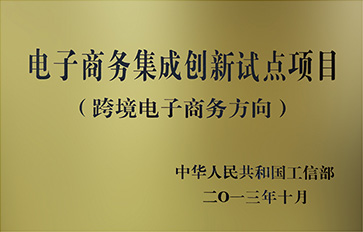 电子商务集成创新试点项目