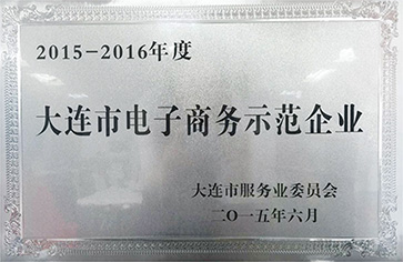 大连市电子商务示范企业
